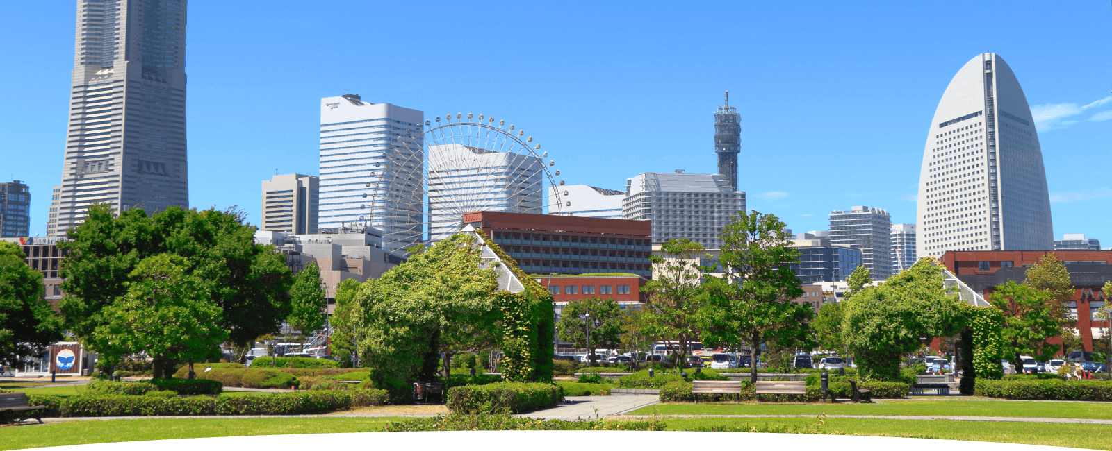 横浜のビルと緑