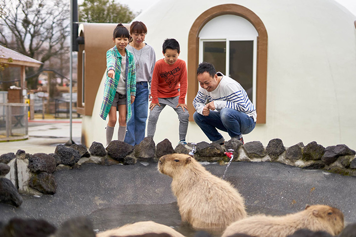 阿蘇くじゅう国立公園内にあり、大自然に囲まれた施設。約30万坪の敷地に宿泊・運動・食事・スパ・体験・買物の6つの施設とコーナーが集結。日帰り利用では名物アトラクションを備える「元気の森」、阿蘇の景色を一望できる「阿蘇健康火山温泉」がおすすめ。