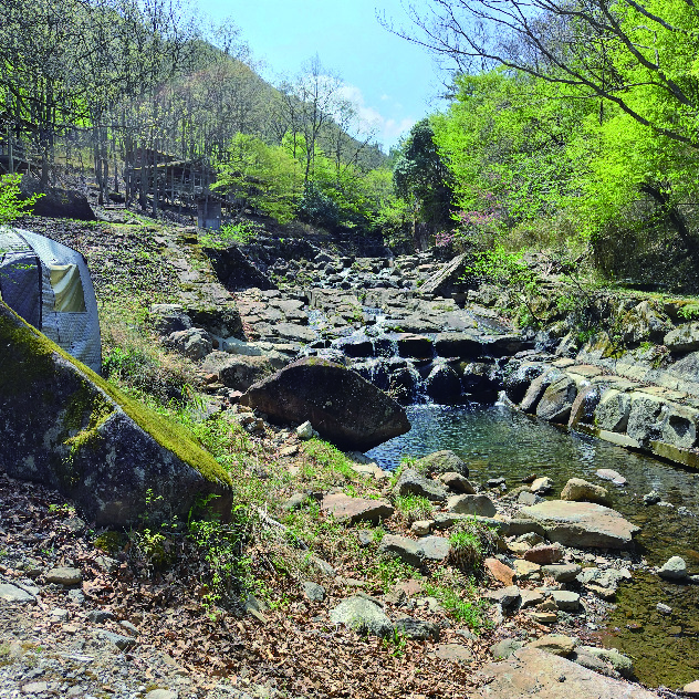 よかろうパークキャンプ場の側を流れる、自然豊かな浅い川