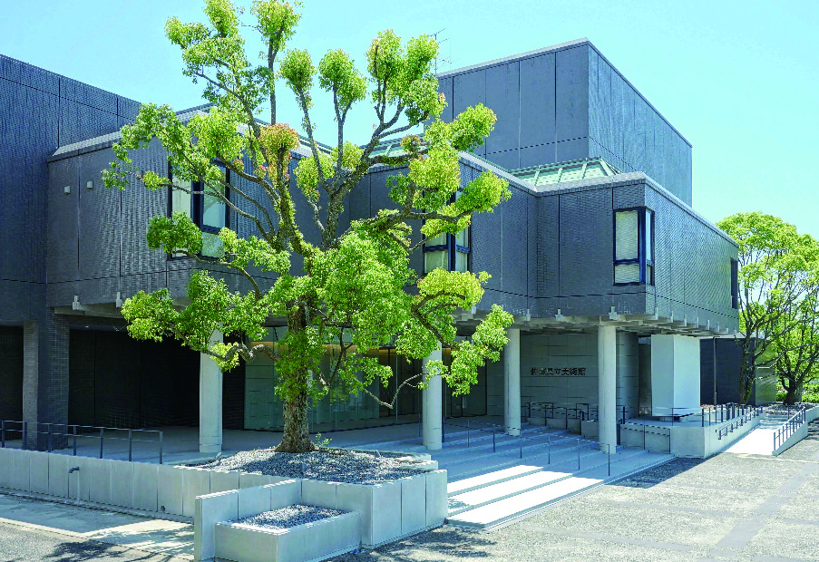 佐賀県立美術館のモダンな建物の前に立つ、生命力あふれる大きな木