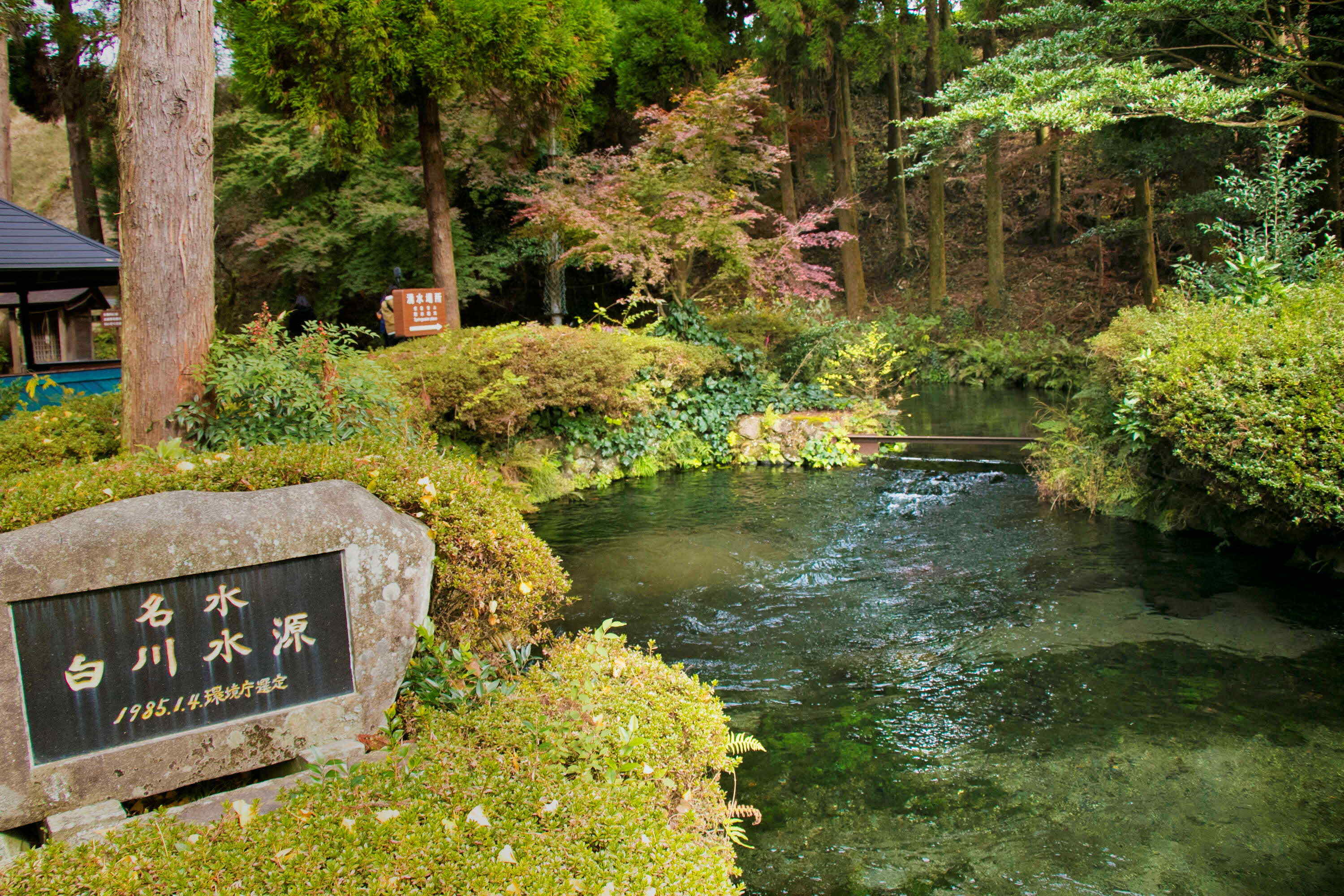 白川水源