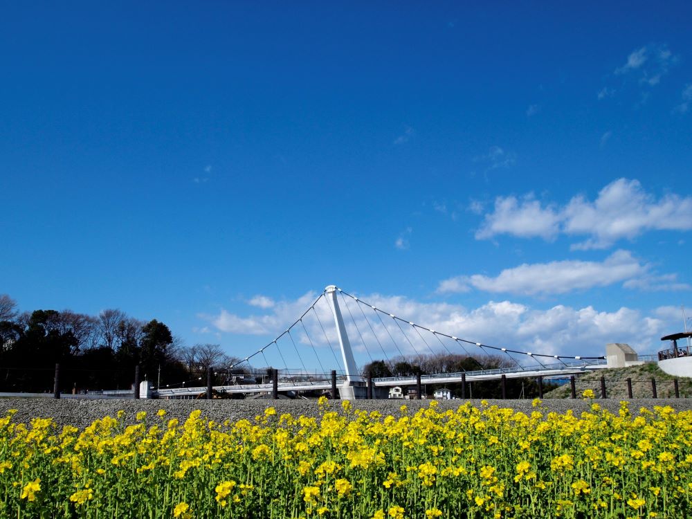 神奈川県立境川遊水地公園