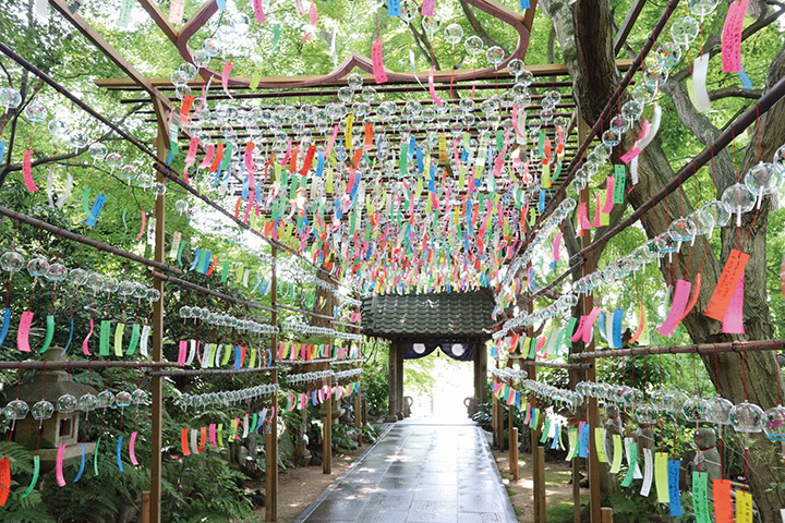 〝かえる寺〟の愛称で知られ、約1万体ものカエルの置物が出迎えてくれる如意輪寺。期間中は、暑さ厳しい夏を無事に越せるようにとの願いを込めて奉納された数千個の風鈴が、涼やかな音色と共に境内を美しく彩る。