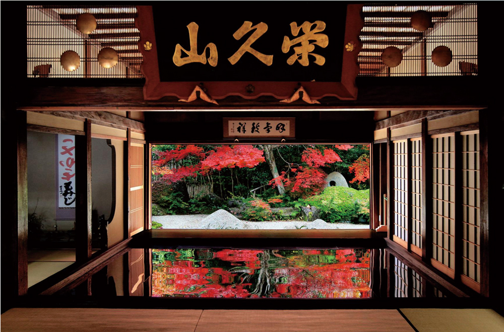 寿福寺の室内から見る、床に映り込む「逆さ紅葉」が見事な秋の庭園