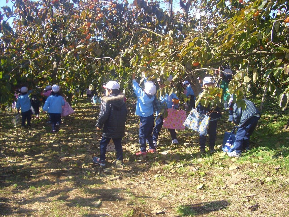 観光農園鈴木園