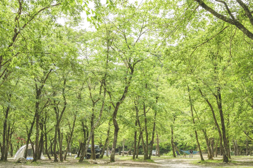 ウェルキャンプ西丹沢