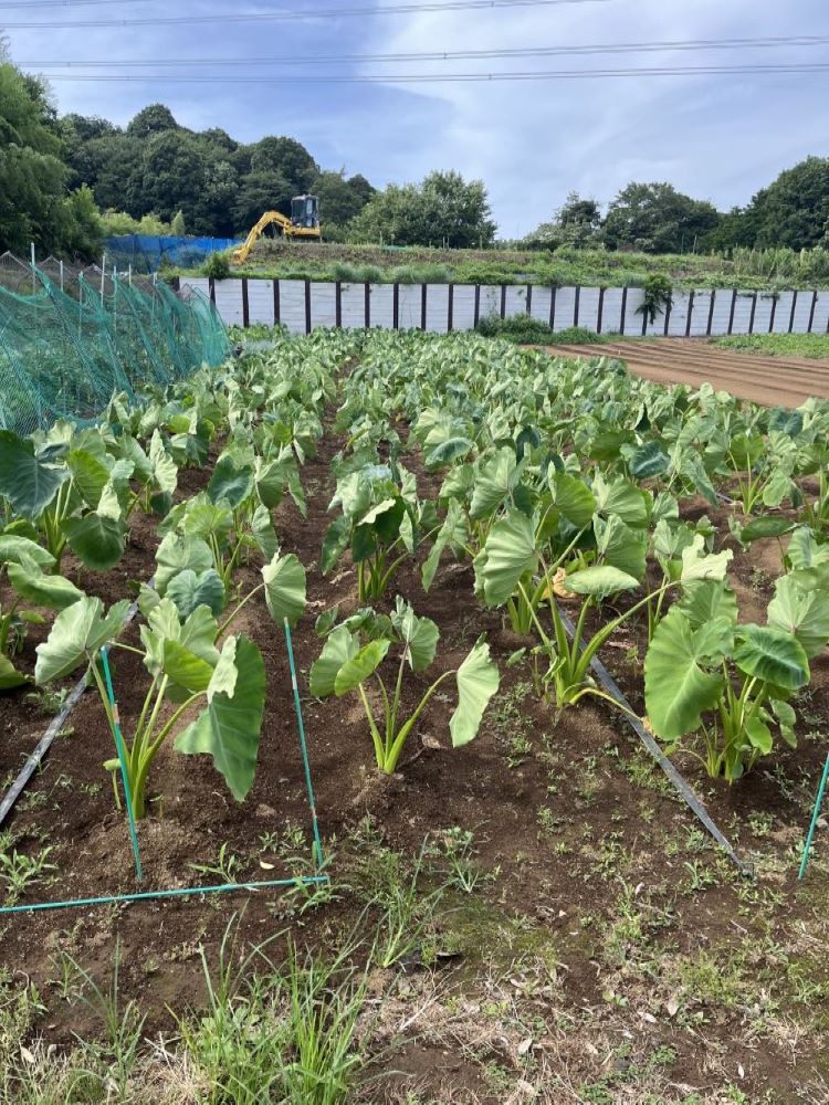 Yours Garden門倉農園