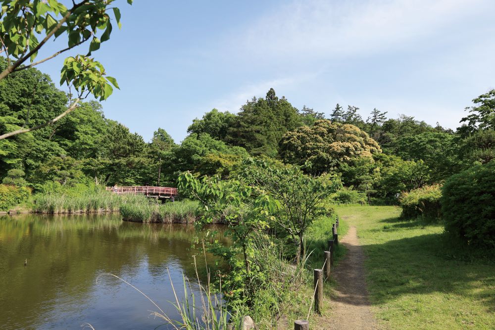 こども自然公園