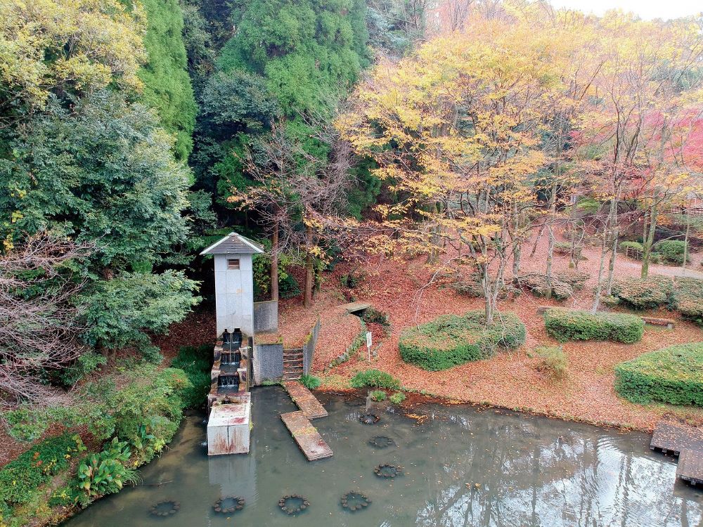四王寺県民の森にある池と、周りの木々の秋の風景