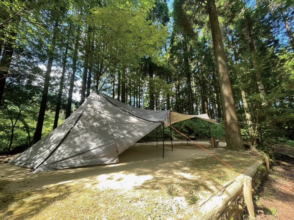 糸島市森林公園の、高い木々に囲まれた静かなテントサイト