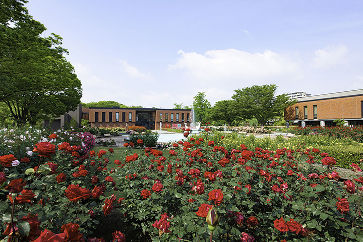 第30回「春のバラフェア2026」（5/2㊏～24㊐）では、4か所のバラ園に500種2,300株のバラが咲き誇る。注目の新品種「ピクシー」をはじめ、多彩なバラが集結。コンサートやフラワーワークショップなどを開催するほか、子供向けエリアやマルシェも登場。