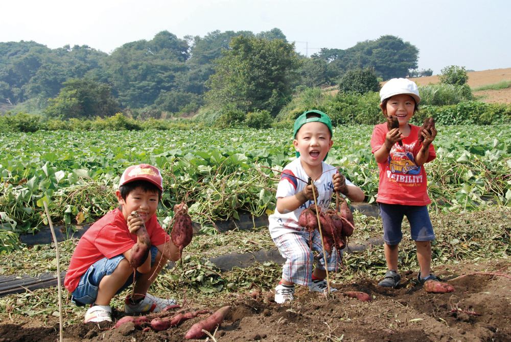 津久井浜観光農園