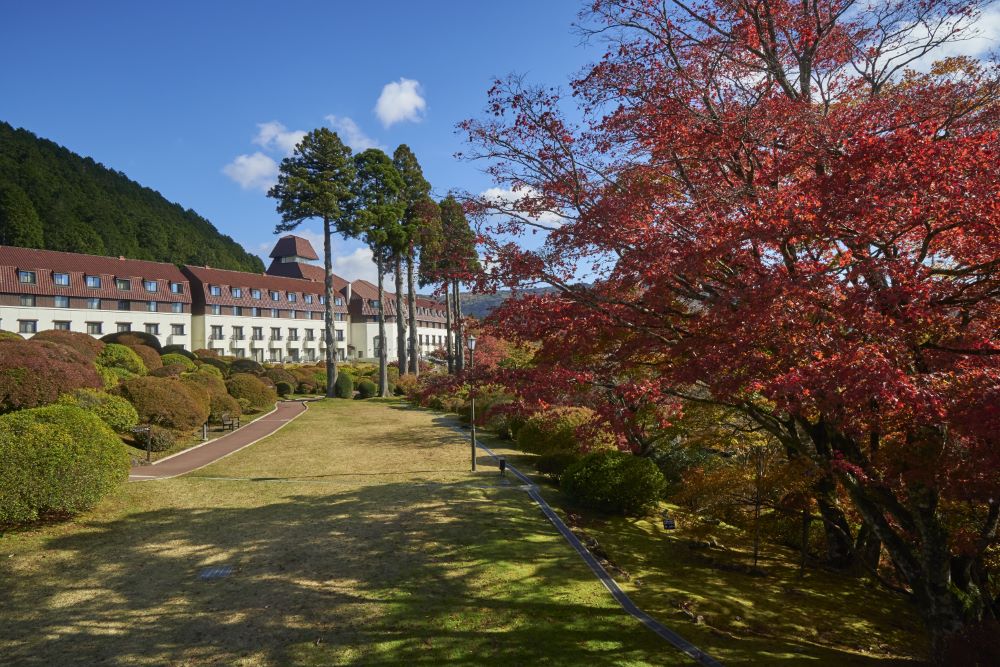 小田急 山のホテル