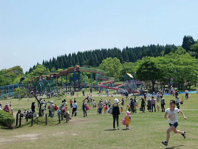 夜須高原記念の森で、多くの家族連れがピクニックや遊びを楽しむ広場