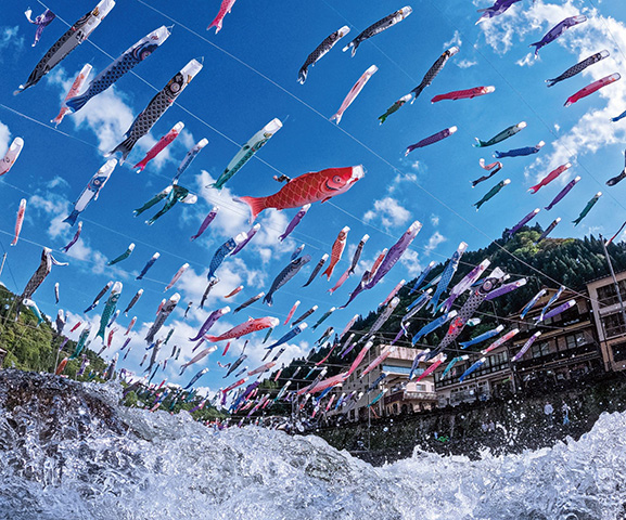 熊本県の北部、湯けむりが立ちのぼる山あいの温泉郷・杖立温泉一帯で毎春開催される「杖立温泉 鯉のぼり祭り」。春風そよぐ杖立川の上空を、色鮮やかな3,000匹以上の鯉のぼりが雄大に泳ぐ景観は必見。静かな温泉地がひと際あでやかになるこの時期をお見逃しなく。