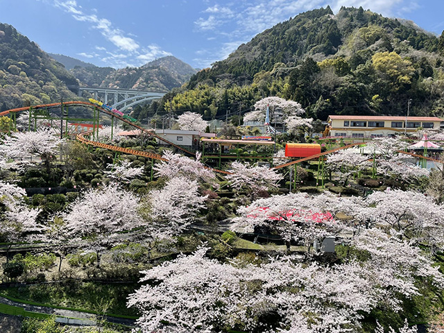 1929年に開園した九州最古の遊園地へは、日本屈指の急勾配を誇るケーブルカーで入園する。日本唯一の二重式観覧車などアトラクションが充実。1950年から続く名物企画「あひるの競走」（1レース￥150）は毎日開催する。