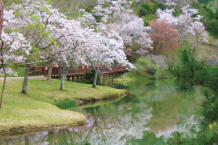 日田市街地西部に位置し、池の近くには約450本のソメイヨシノが植栽され、見ごろになると多くの花見客が訪れる。1万6,200㎡もある自由広場はサッカーやグラウンドゴルフなどでも使用できるので、花見ついでに計画してみては。