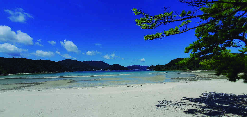 蛤浜（はまぐりはま）海水浴場
